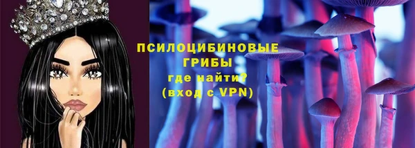 дживик Арсеньев
